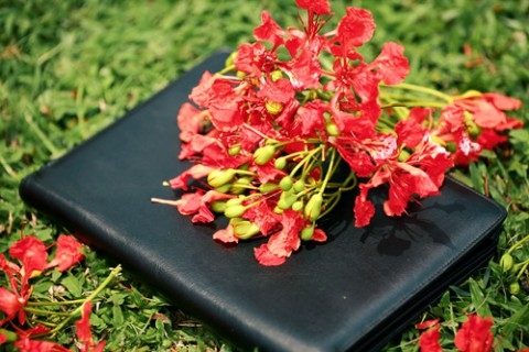 Sau một năm học – Phương Thảo
