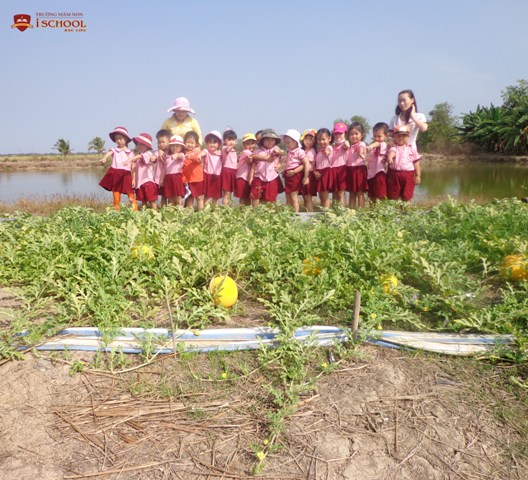 Bé tham quan vườn dưa, ao cá