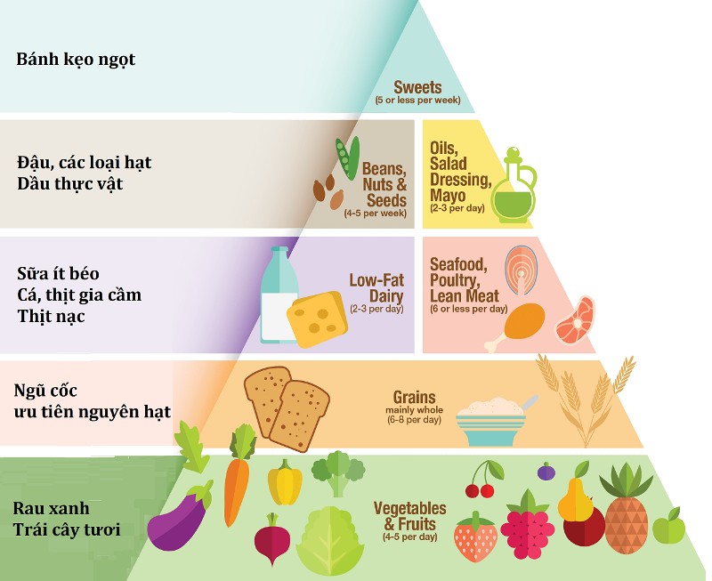 Chăm sóc sức khỏe và dinh dưỡng