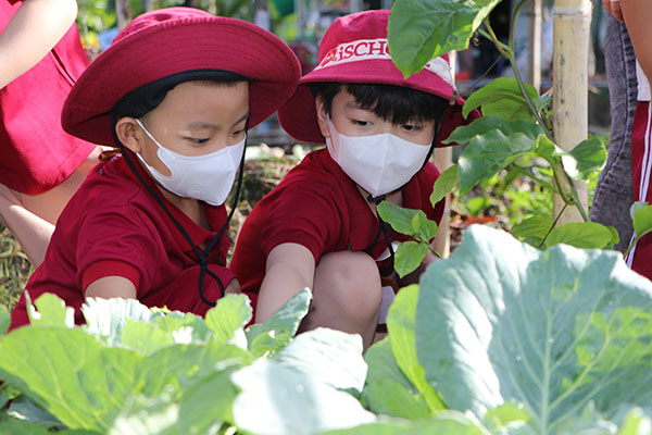 iSchool Bạc Liêu: Tham quan nông trại xanh