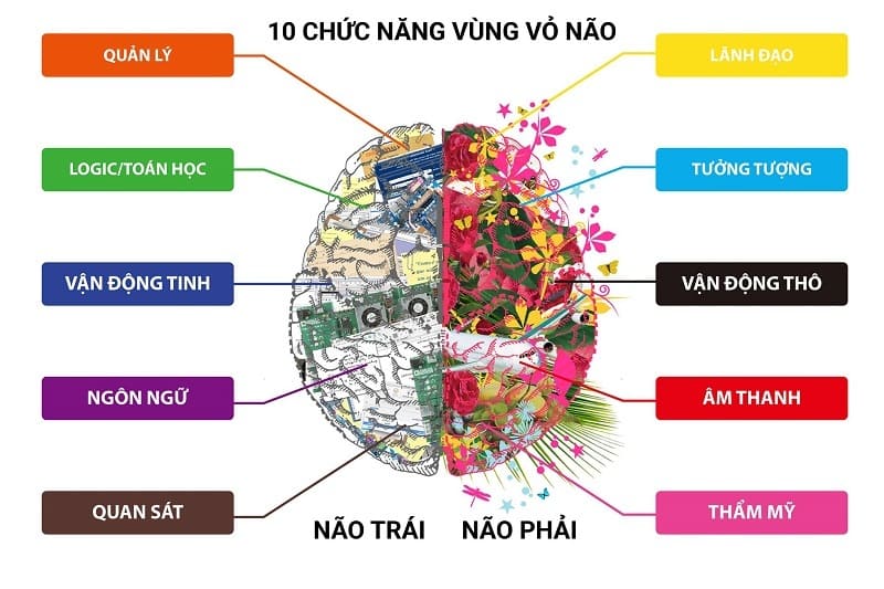 6 Phương pháp kích thích phát triển não phải cho trẻ em có thể bạn chưa biết