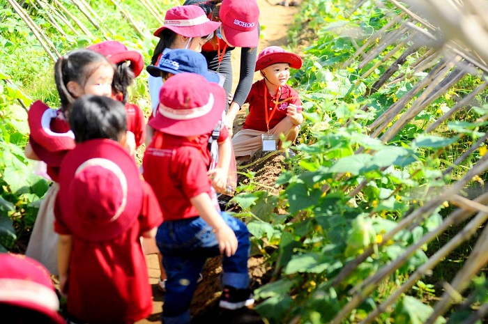 MN iSchool Trà Vinh – Bé về quê thăm vườn rau củ