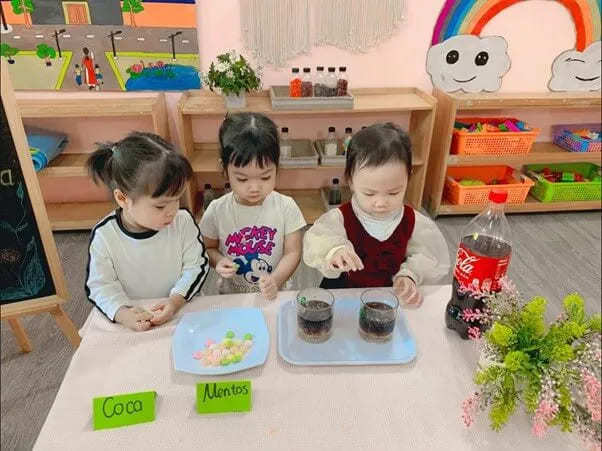 Thí nghiệm STEM cho trẻ mầm non: Coca và kẹo