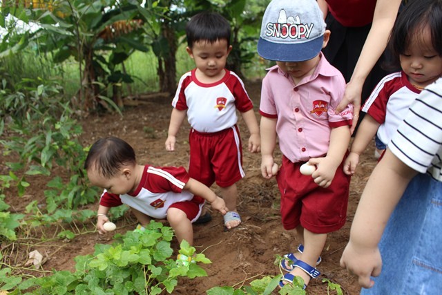 Mùa hè nông trại của các bé Mầm non iSchool Bạc Liêu dạy trẻ lượm trứng gà