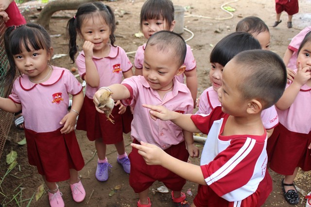 Mùa hè nông trại của các bé Mầm non iSchool Bạc Liêu