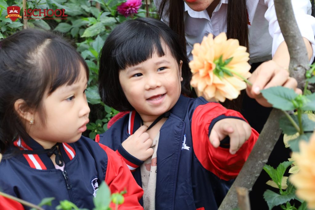iSC CẨM PHẢ | THUNG LŨNG HOA THƯỢC DƯỢC- KHỐI KINDY 4 VÀ KINDY 5