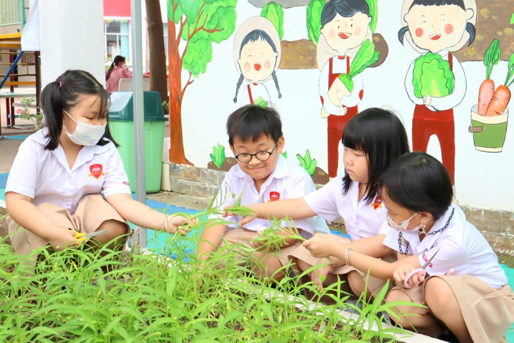 iSCHOOL LONG XUYÊN TUYỂN SINH KHÓA HỌC TIỀN TIỂU HỌC