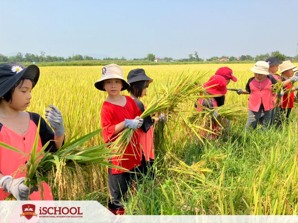 LÀM NÔNG DÂN NHÍ CÙNG iSCHOOL QUY NHƠN