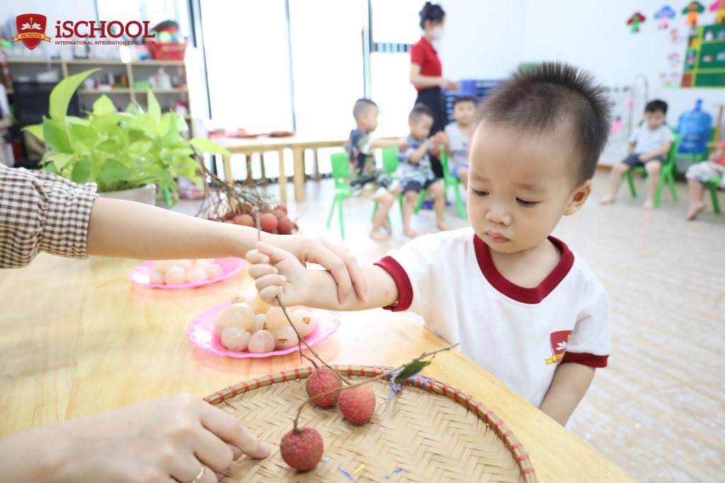 CÁC BÉ NURSERY THÍCH THÚ THƯỞNG THỨC HƯƠNG VỊ VẢI THIỀU MÙA HÈ