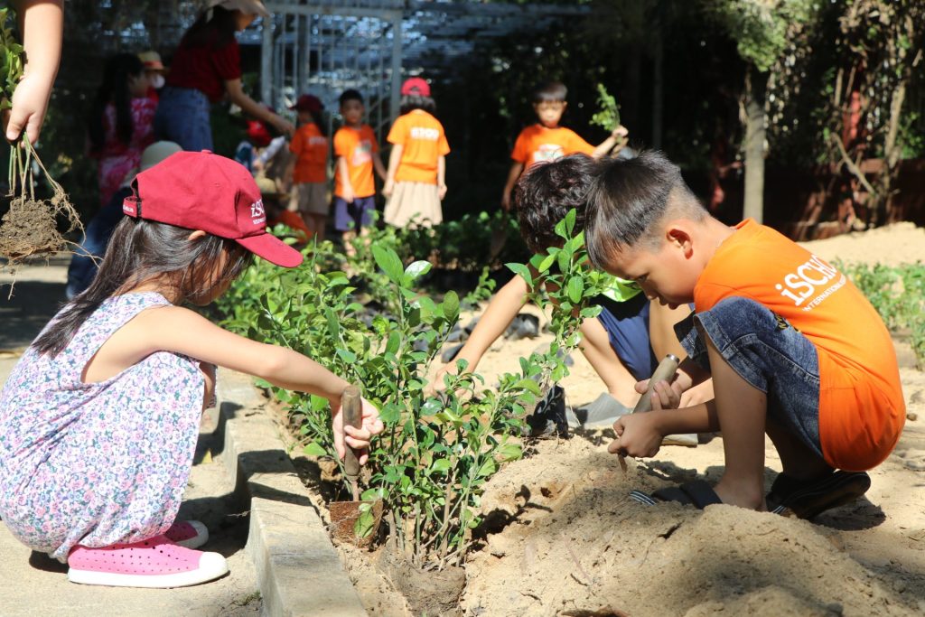 GIEO MẦM XANH CÙNG iSCHOOL QUY NHƠN