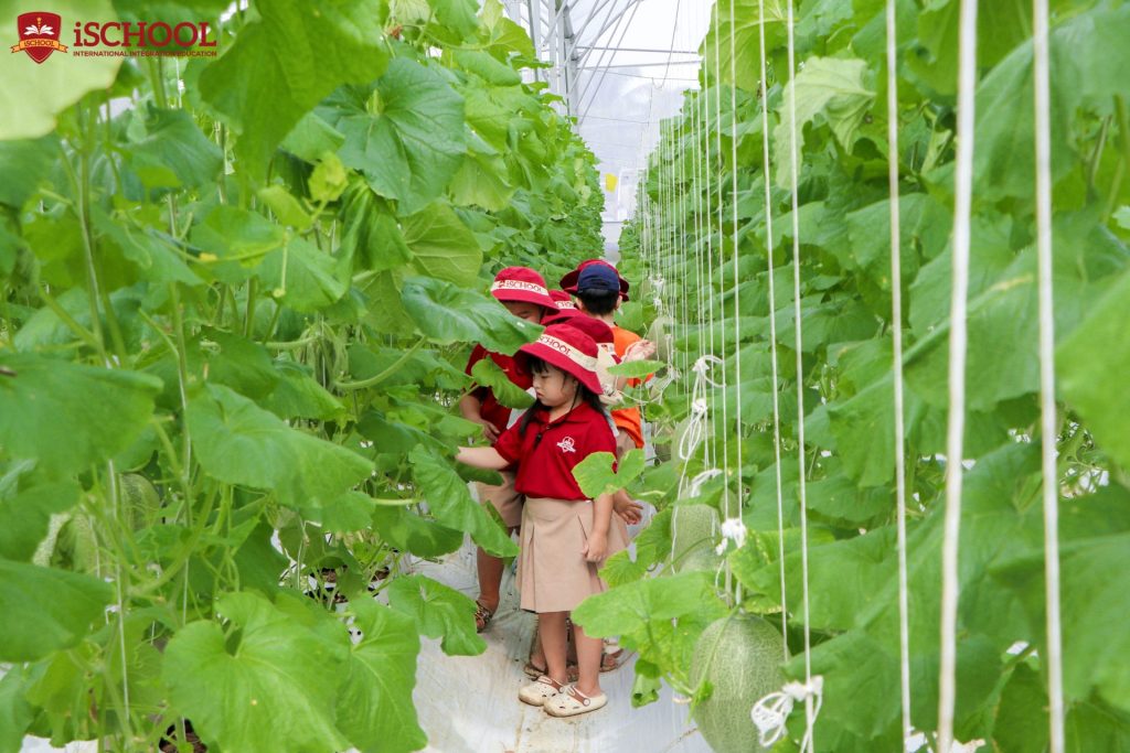 DÃ NGOẠI CÙNG iSCHOOL TRÀ VINH