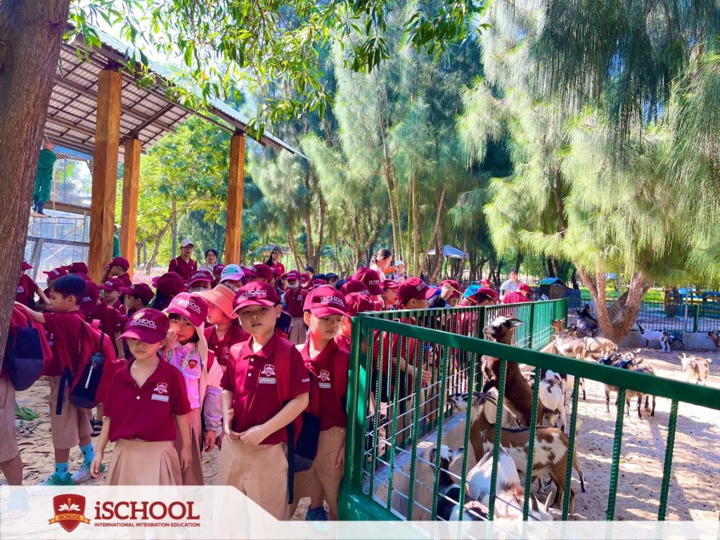 iSERS QUY NHƠN THAM QUAN FLC SAFARI ZOO