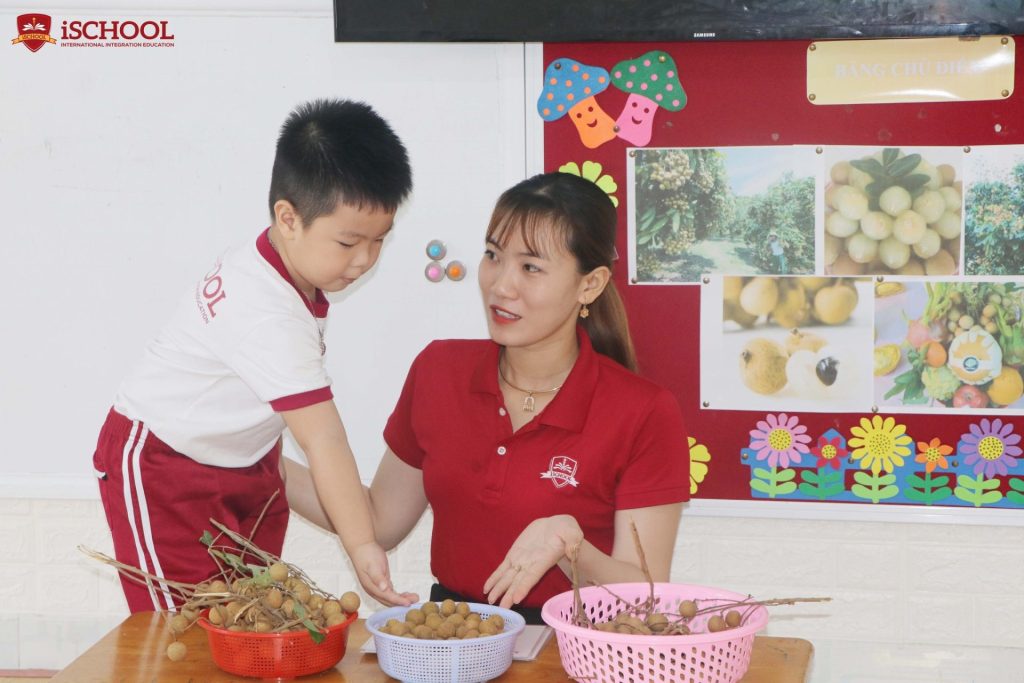 DỰ ÁN: HƯƠNG NHÃN