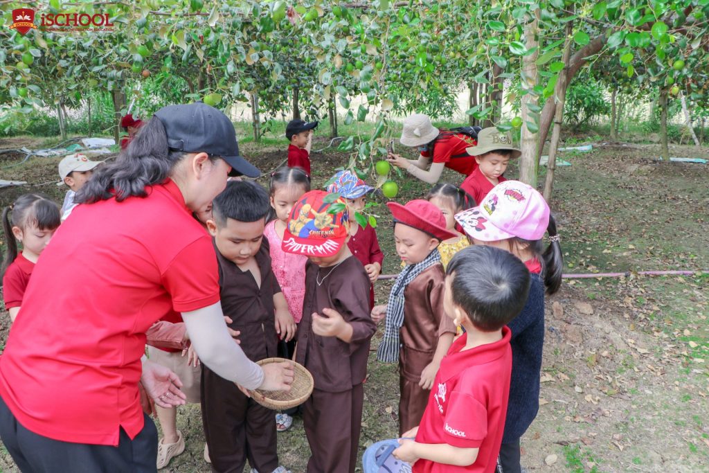 iSCHOOL TRÀ VINH THAM QUAN VƯỜN TÁO TẠI HUYỆN CẦU NGANG