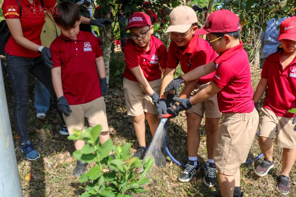 iSCHOOL NHA TRANG: TIẾP TỤC HƯỞNG ỨNG ĐỀ ÁN “TRỒNG 1 TỶ CÂY XANH CỦA THỦ TƯỚNG CHÍNH PHỦ”