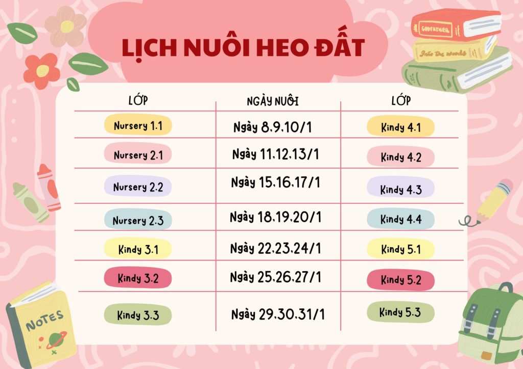Lịch trình “vi vu” của những chú heo đất sau khi rời Trang trại