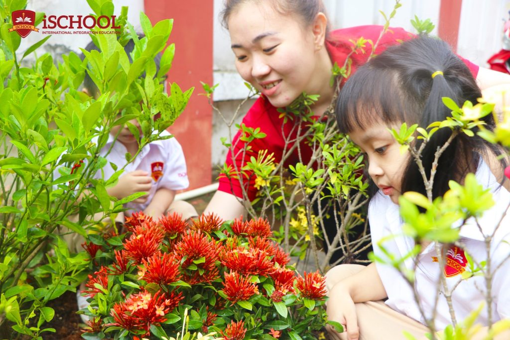 MẦM NON iSCHOOL BẠC LIÊU – PHỦ XANH VƯỜN TRƯỜNG