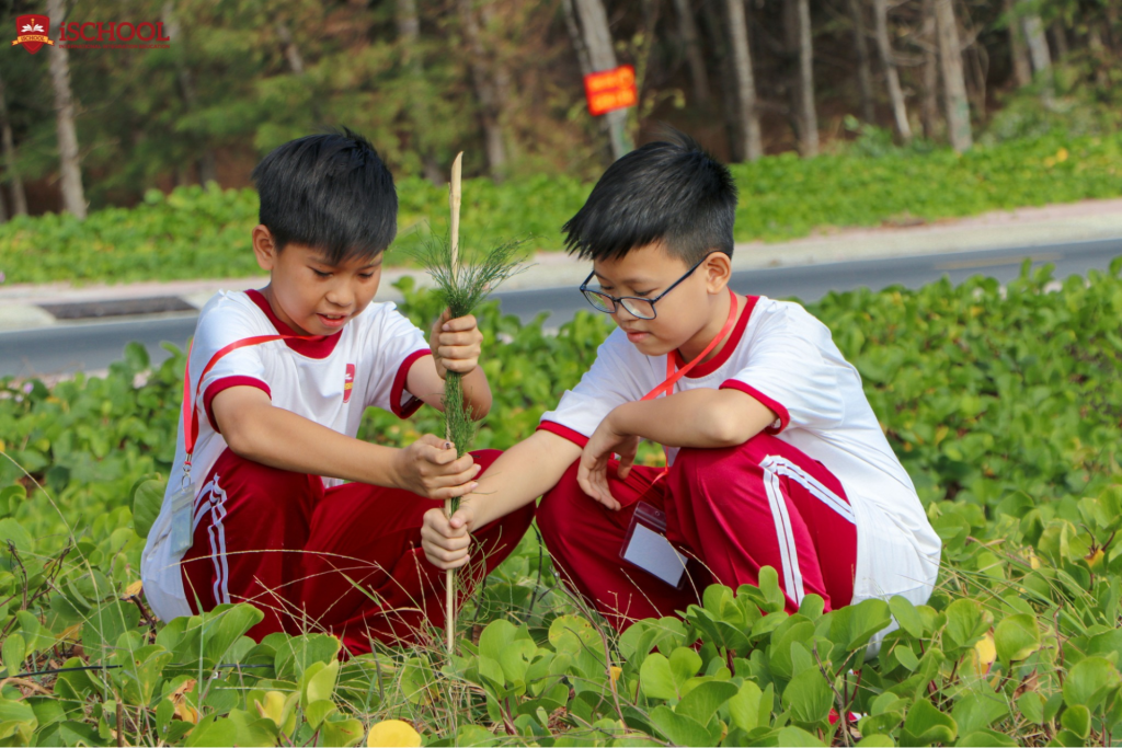 Quan sát với thái độ cởi mở, thân thiện