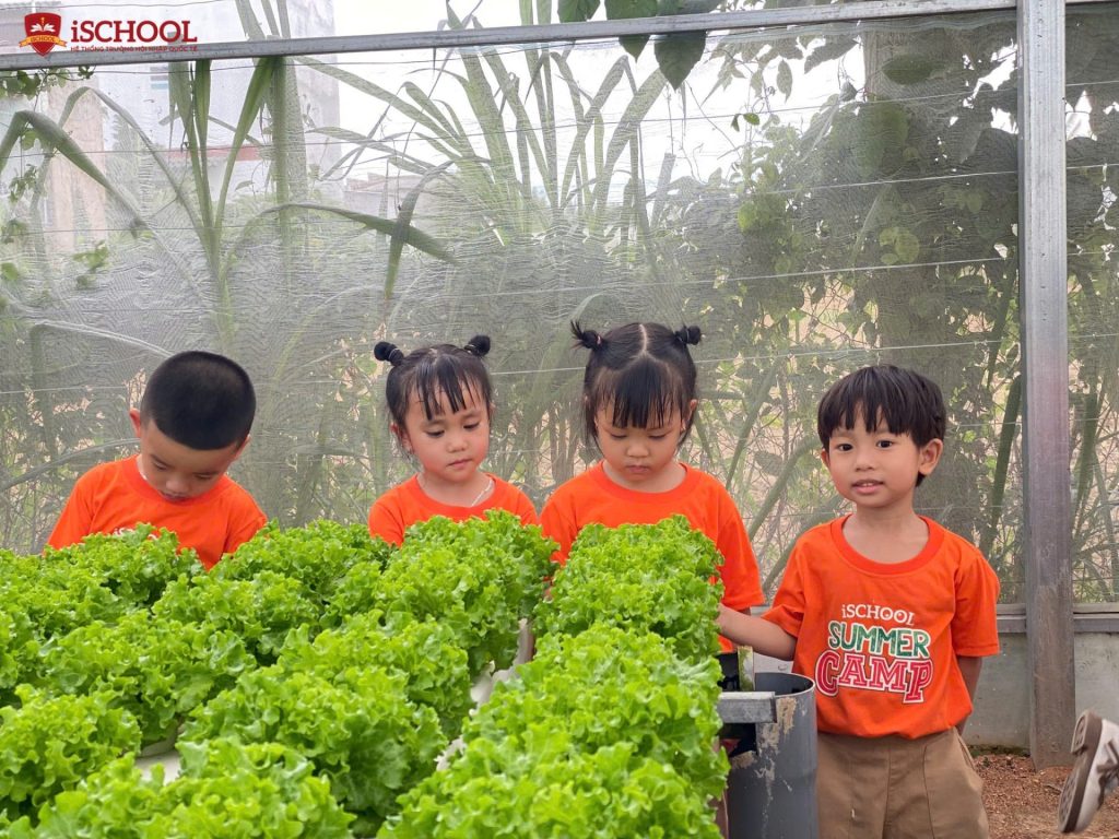 Summer Camp 2025 – Bé Yêu Thiên Nhiên: Mùa Hè Đầy Trải Nghiệm Tại iSchool Mầm Non Ninh Thuận