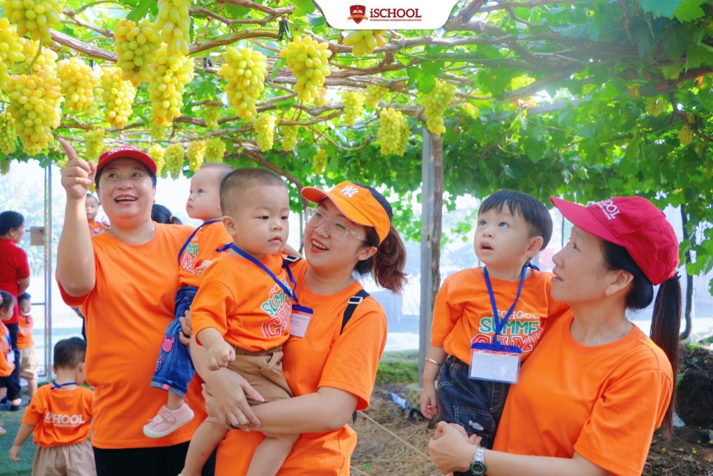 iSchool Summer Up 2025 – Bé Khám Phá Vườn Nho “Thái Hí” Trong Tuần Học “Thiên Nhiên Kỳ Thú”